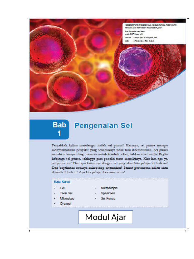 Modul Ajar Bab 1 | PDF