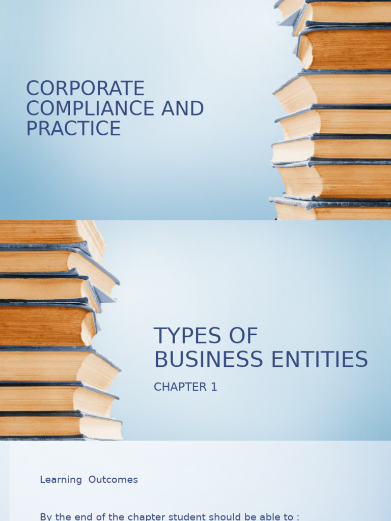 Chapter 1 Types of Company | PDF