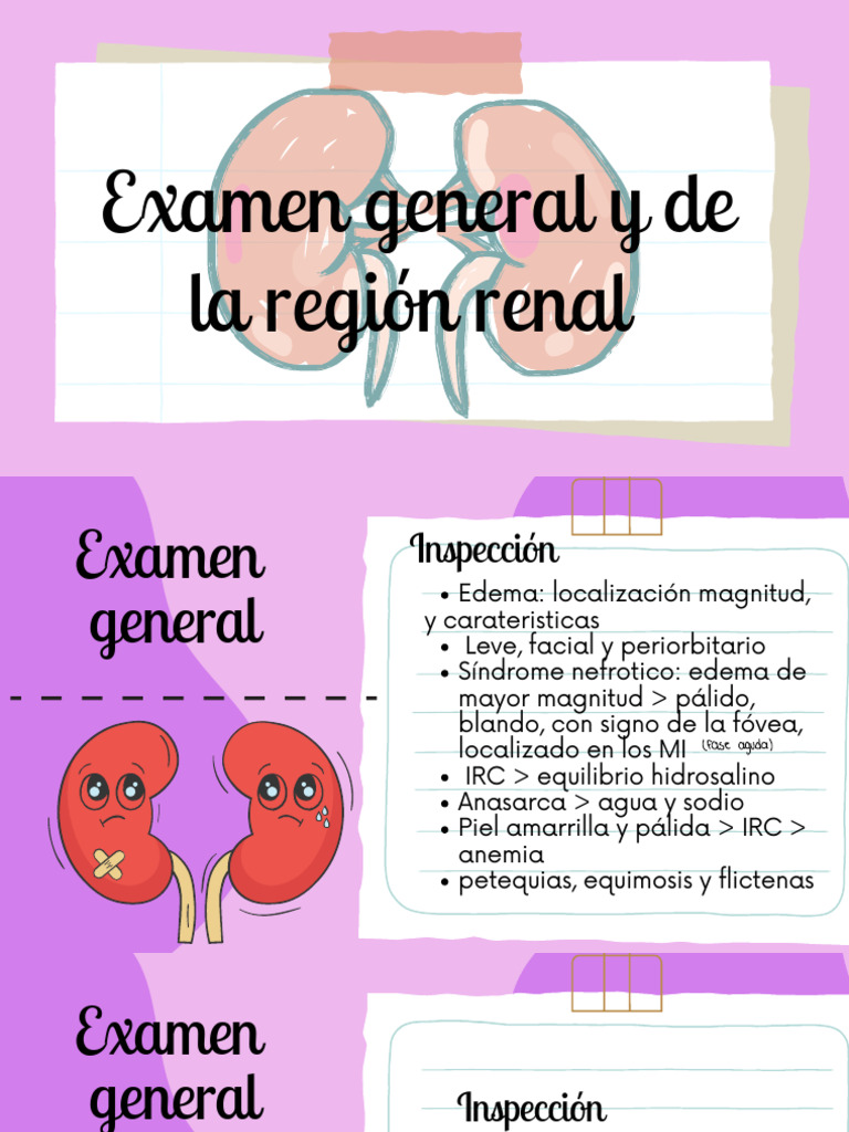 Examen Renal | PDF