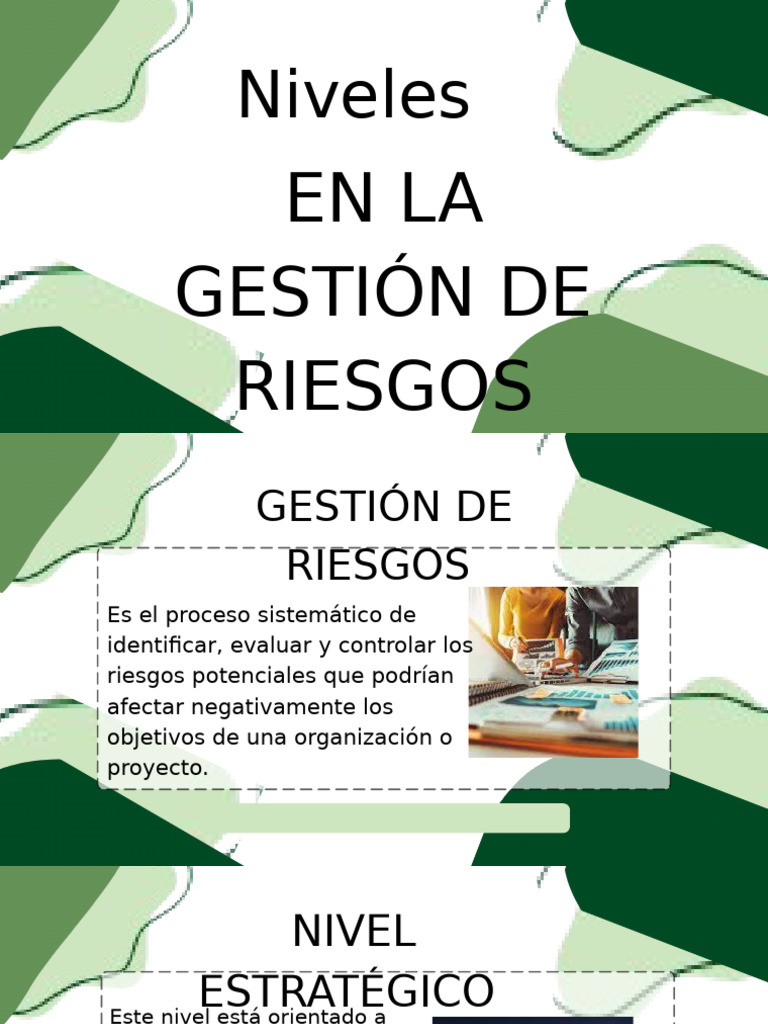 Niveles en La Gestion de Riesgos | PDF