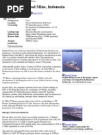 Download Bumi Coal Mine Description by sabrinaguo SN7780933 doc pdf