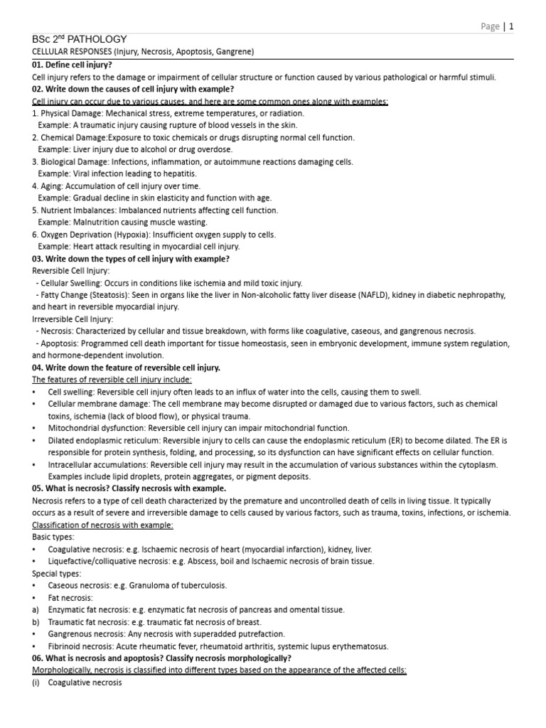 PATHOLOGY PRACTICAL 2ND YEAR visual data 7