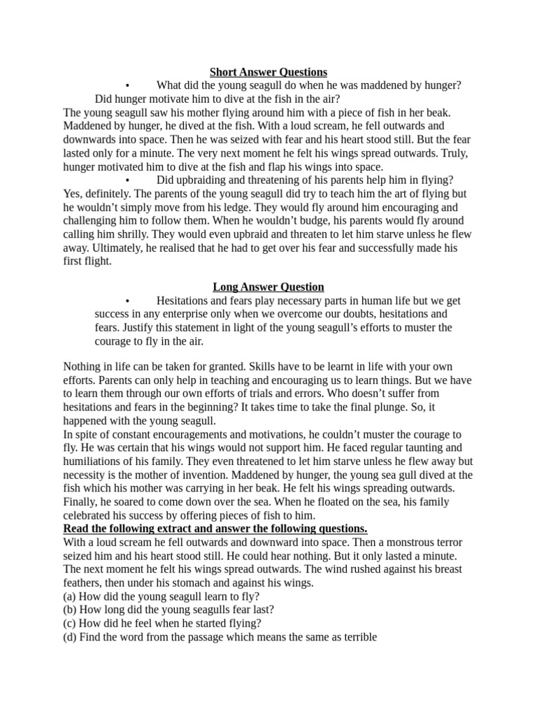 His First Flight Pdf