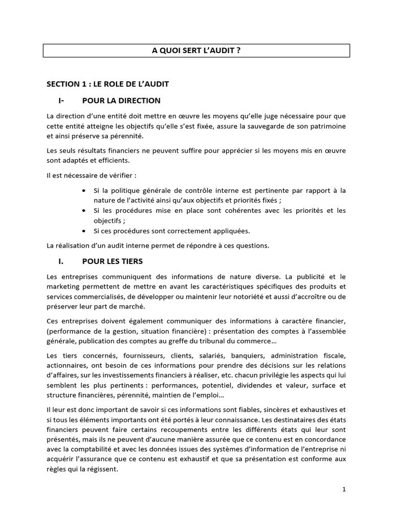 A Quoi Sert L'audit | PDF