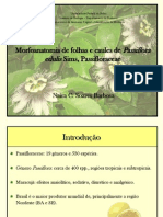 Morfoanatomia de folhas e caules de Passiflora edulis