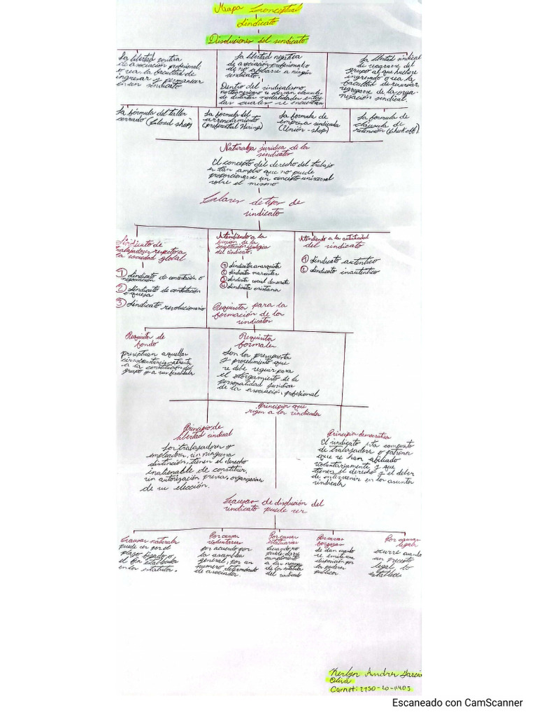 mapa conceptual sindicato derecho del trabajo | PDF