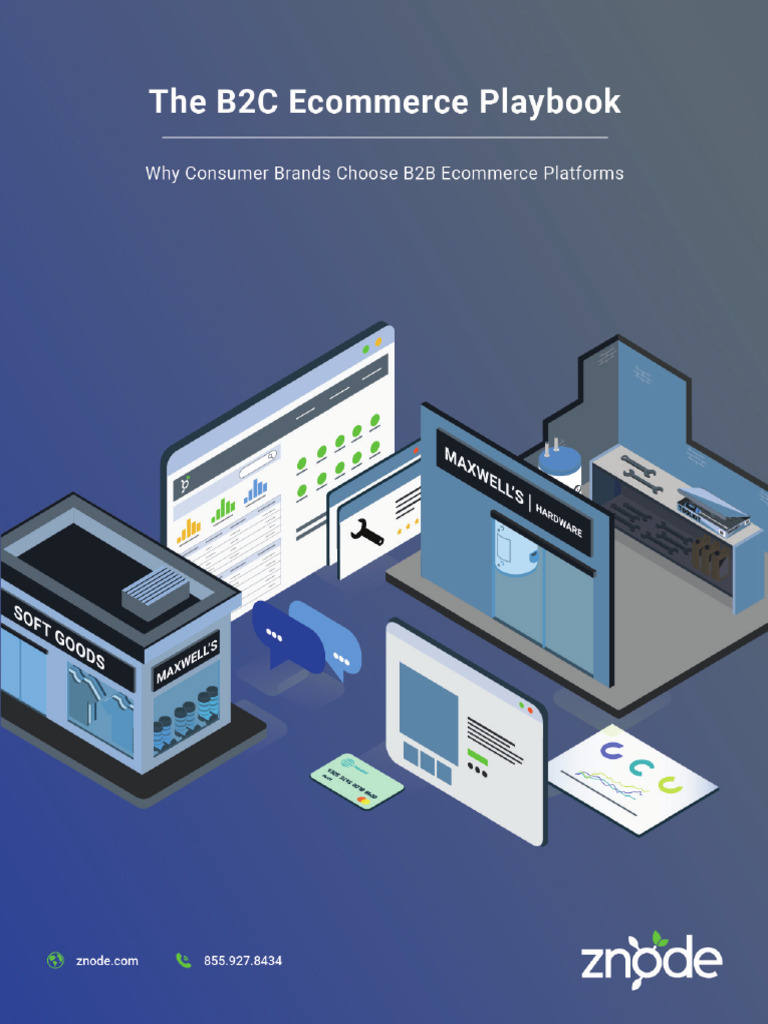 The B2C Ecommerce Playbook | PDF