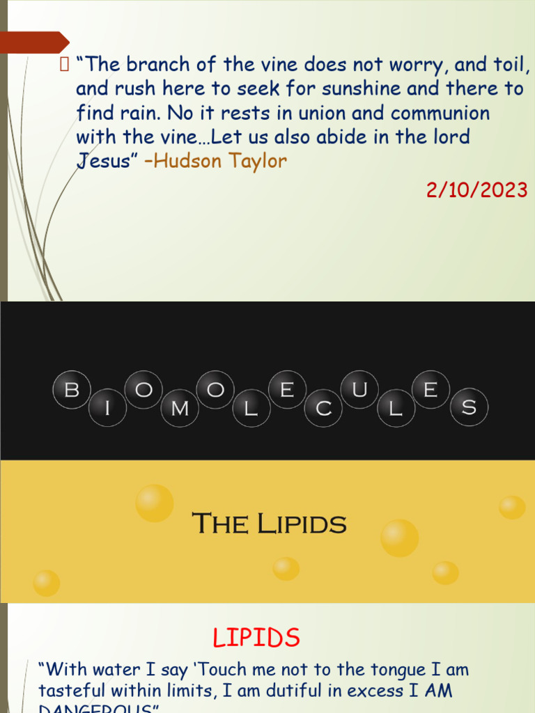Lipids | PDF