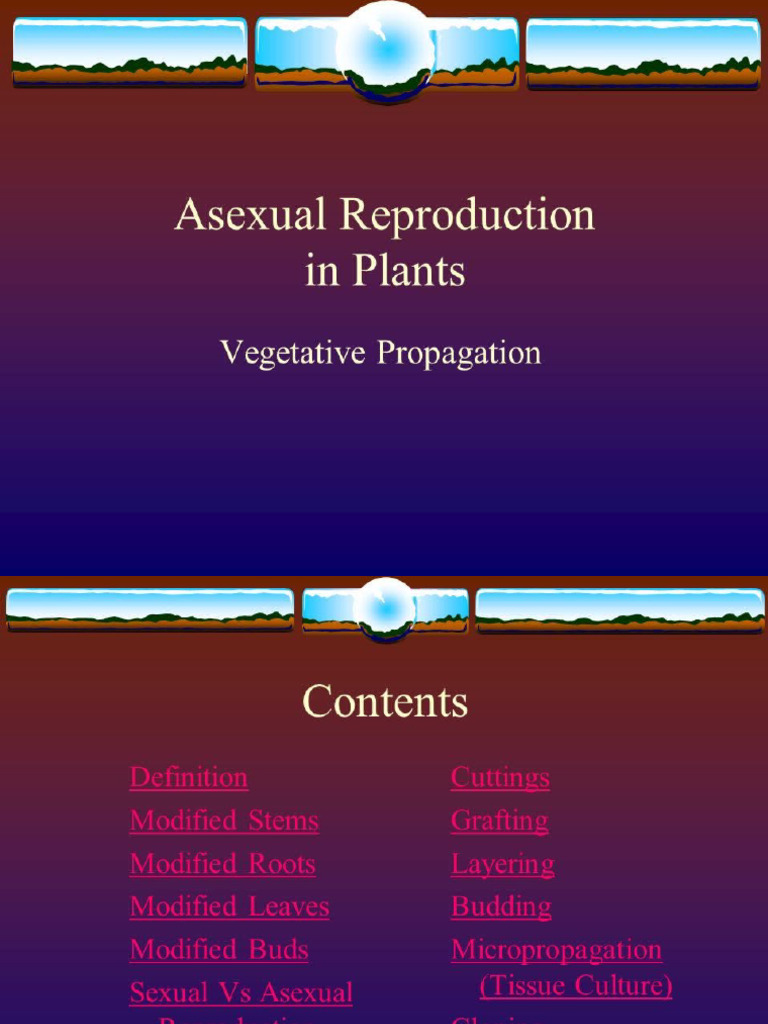 WHAT DOES ASEXUAL MEAN IN PLANTS visual data 2