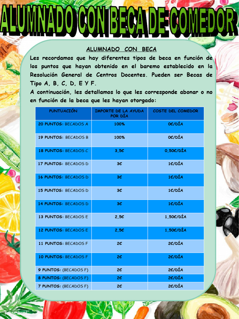 Alumno Becado | PDF