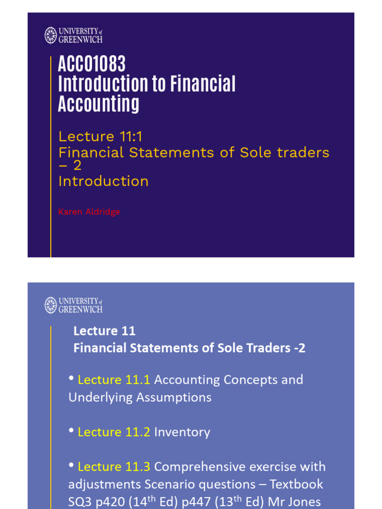 Lecture 11.1 Accounting Concepts and Assumptions | PDF