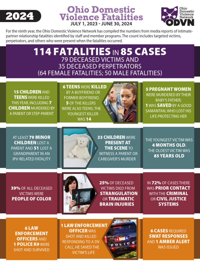 Domestic Violence Fatalities Report 2023 | PDF | Domestic Violence ...