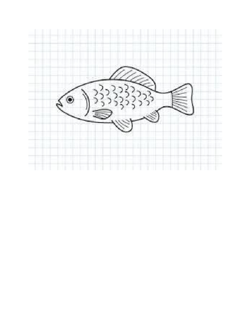 Fish | PDF