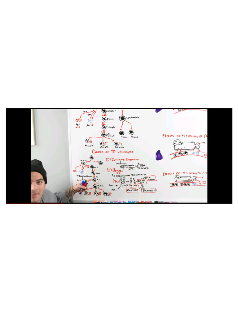 CML | PDF