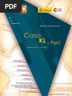 Boletim Nº5 - Caso KL v Perú, portugués