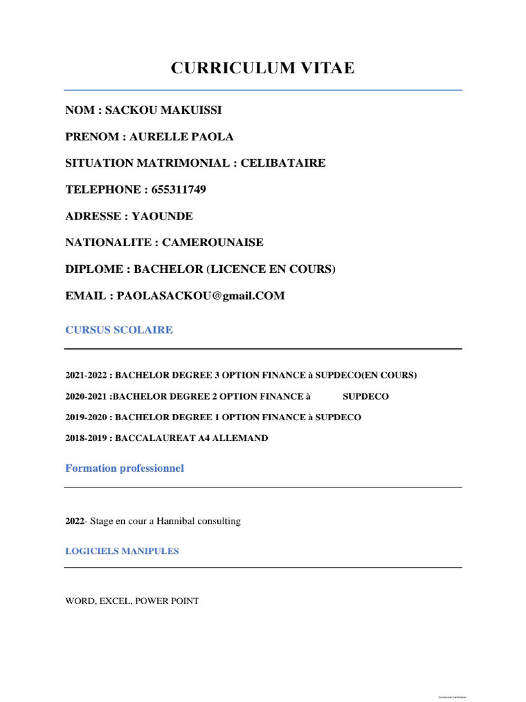 CV 2 | PDF
