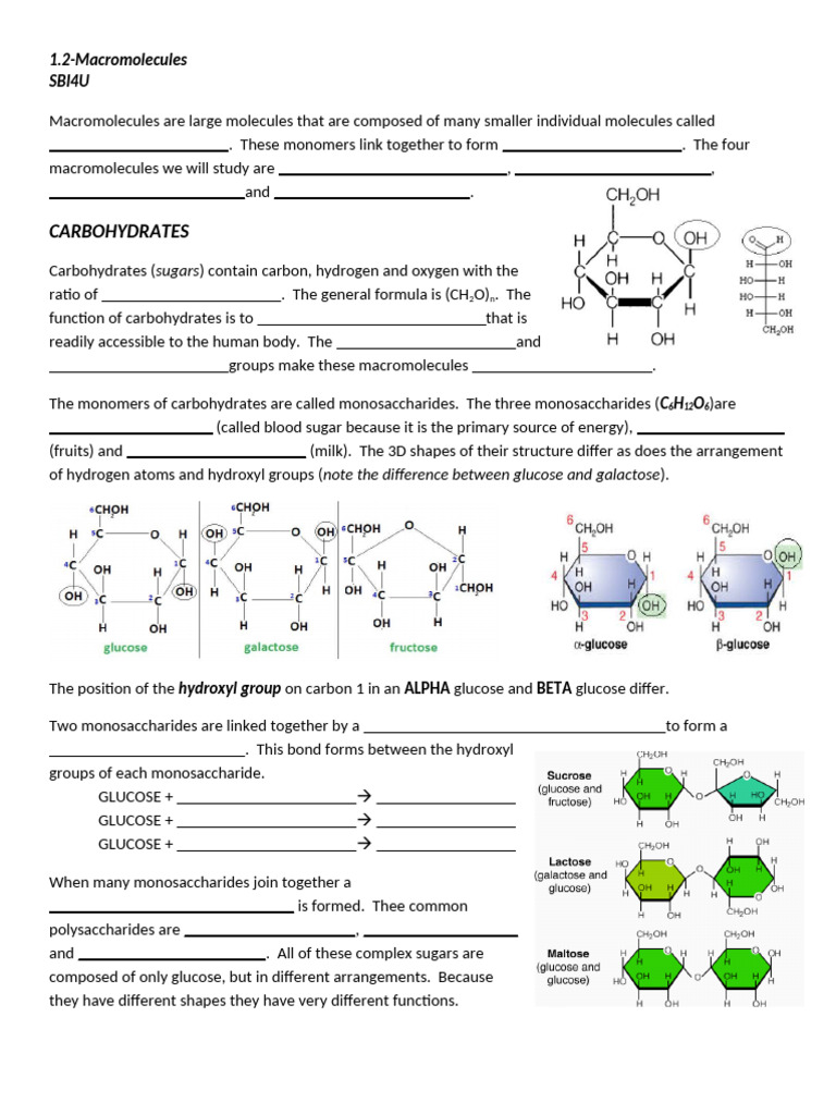 Macro Molecules | PDF