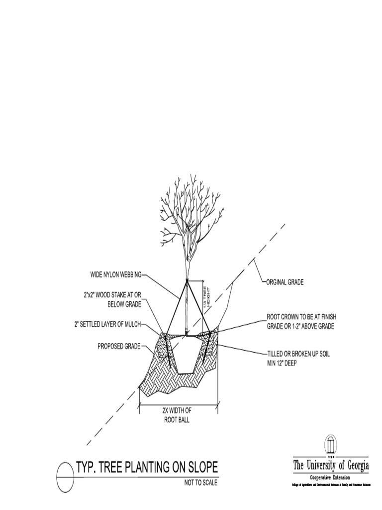 Typical Tree Planting on Slope | PDF