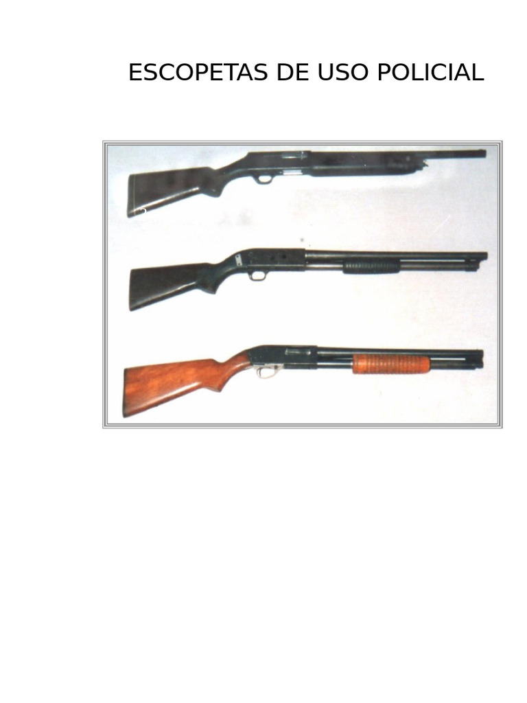 CLASE ESCOPETA. Calibre, Choke, Cartuchos, Etc. | PDF | Ballistics | Sports  \u0026 Recreation, image size:768x1024