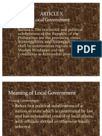 ARTICLE X Local Government