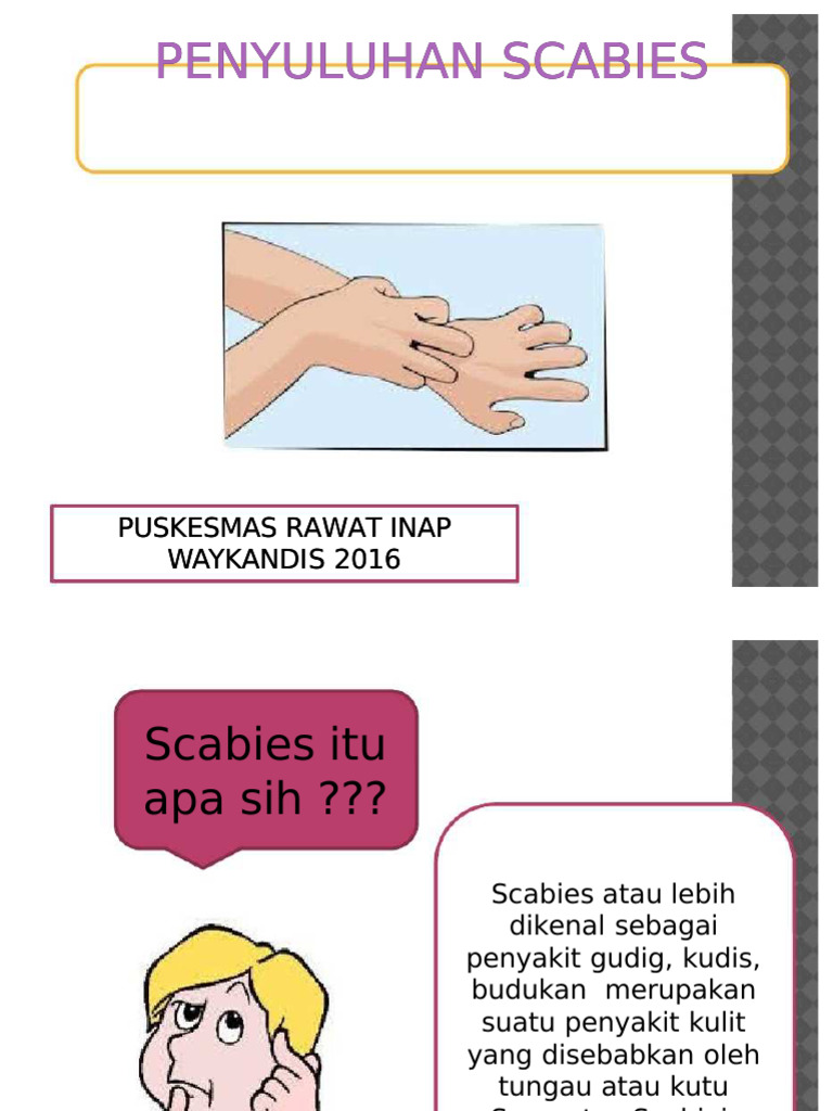  Penyuluhan Scabies 
