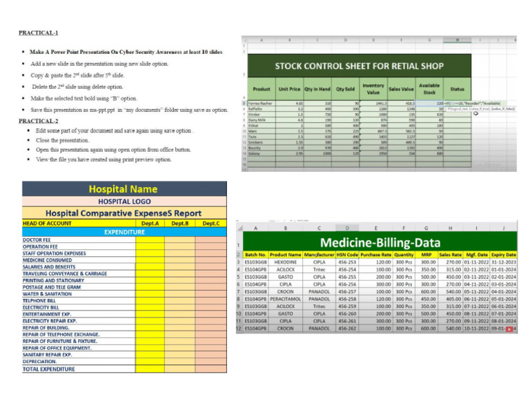 Practical Assignment EXCEL IN WORD NOTES | PDF