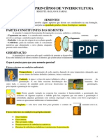 Princípios de viveiricultura: sementes, germinação, qualidade de mudas