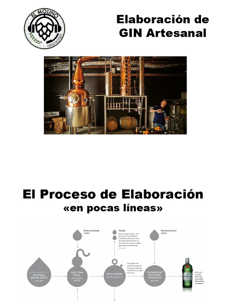 Elaboracion de GIN Artesanal 2 | PDF
