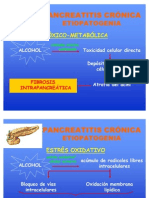 Pancreatitis Cronica, Fisiopatoo