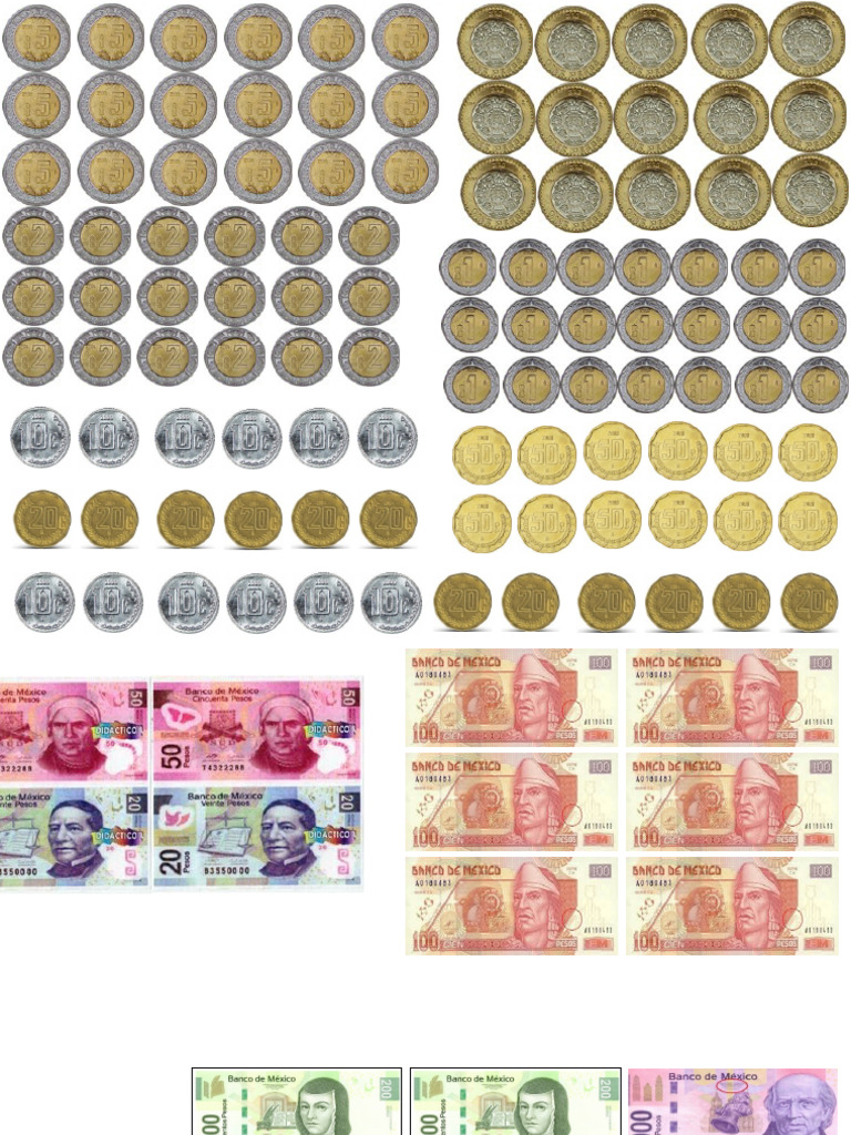 Monedas y Billetes de Mexico PDF