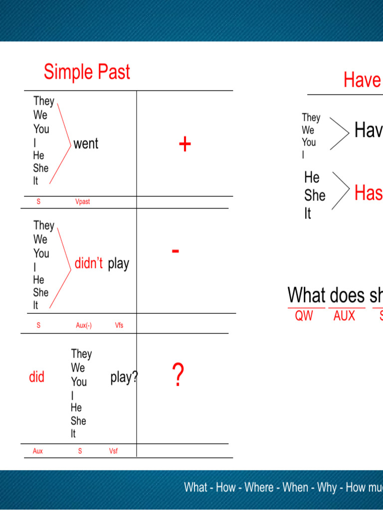 Simple Past Have: Didn't | PDF