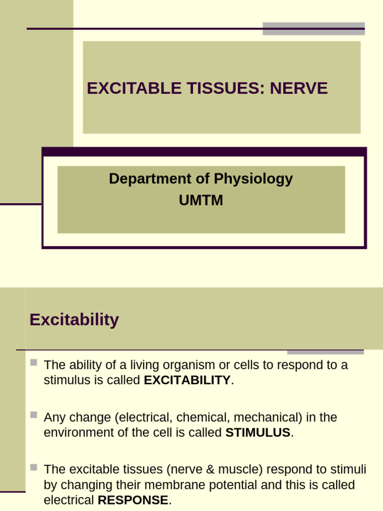 2022 EXcitable Tissues Nerve | PDF