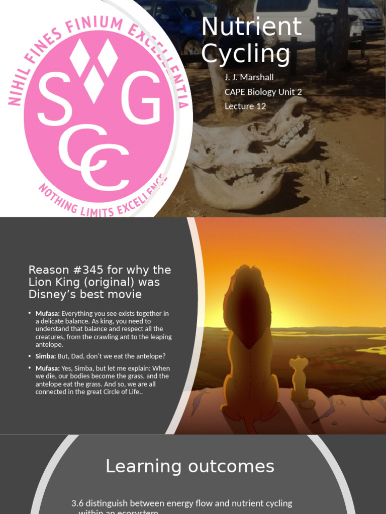 Nutrient Cycling | PDF