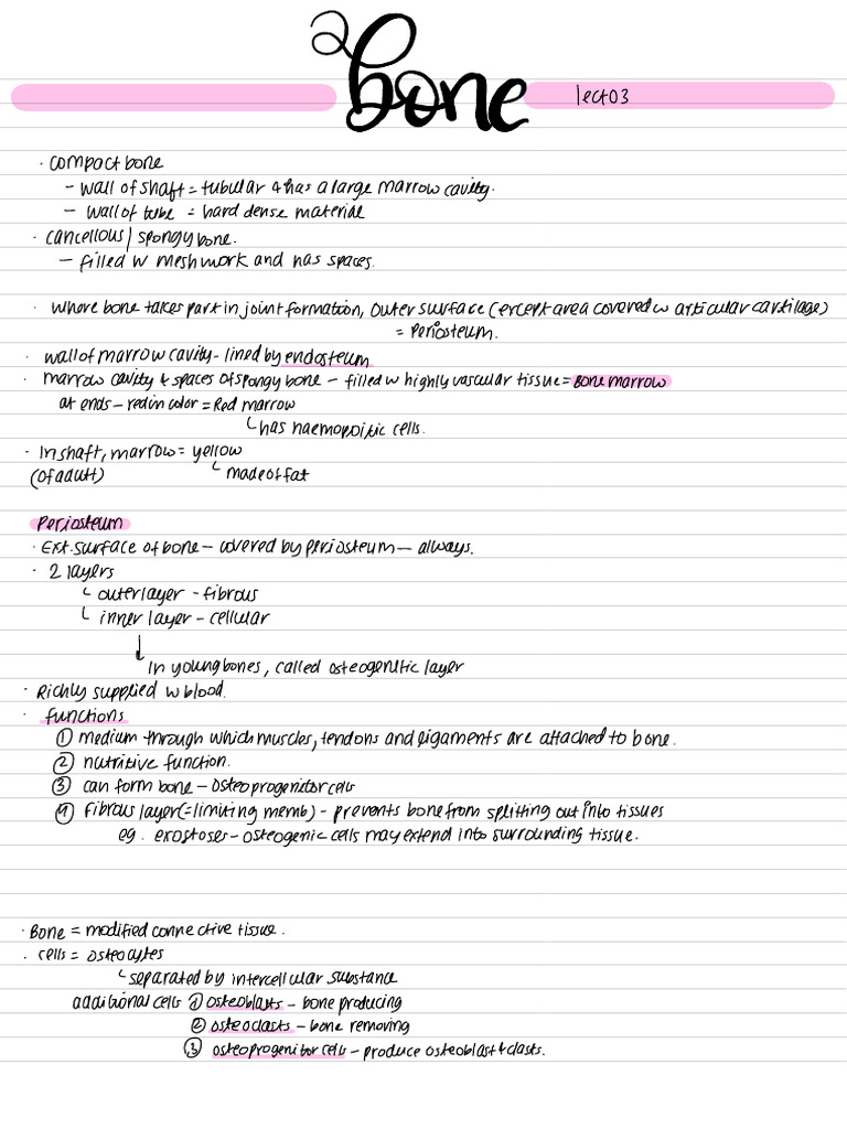 Neet Mds - Last Minute Revision | PDF