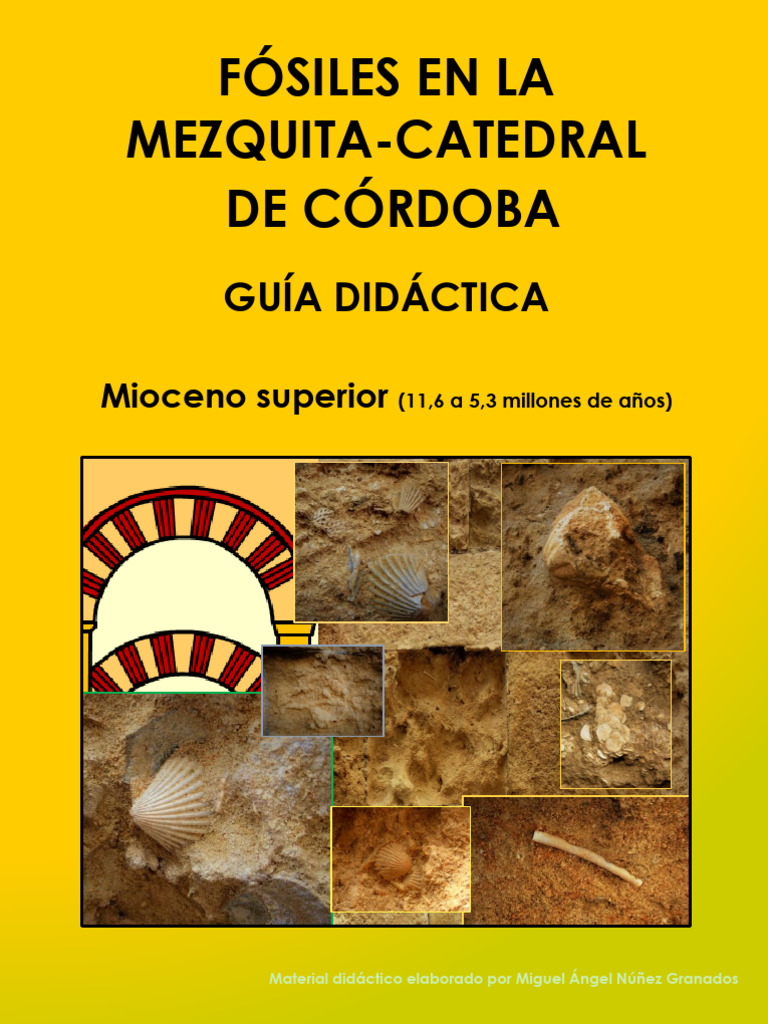Fósiles en la Mezquita-Catedral | PDF | Fósil | Ciencias de la Tierra