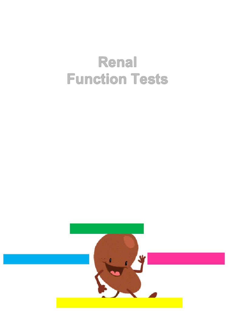 Renal function tests pdf