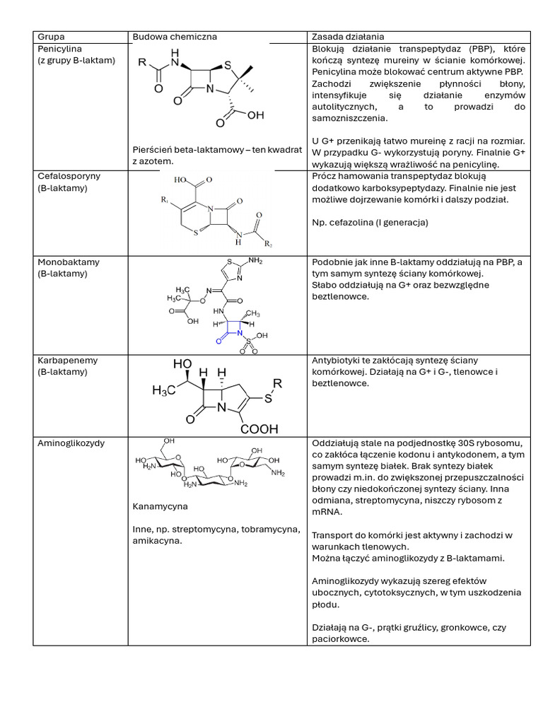 podstawy-i-podzia-antybiotyk-w-pdf
