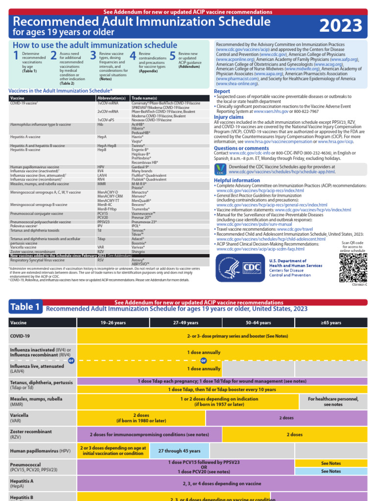 Adult Combined Schedule | PDF
