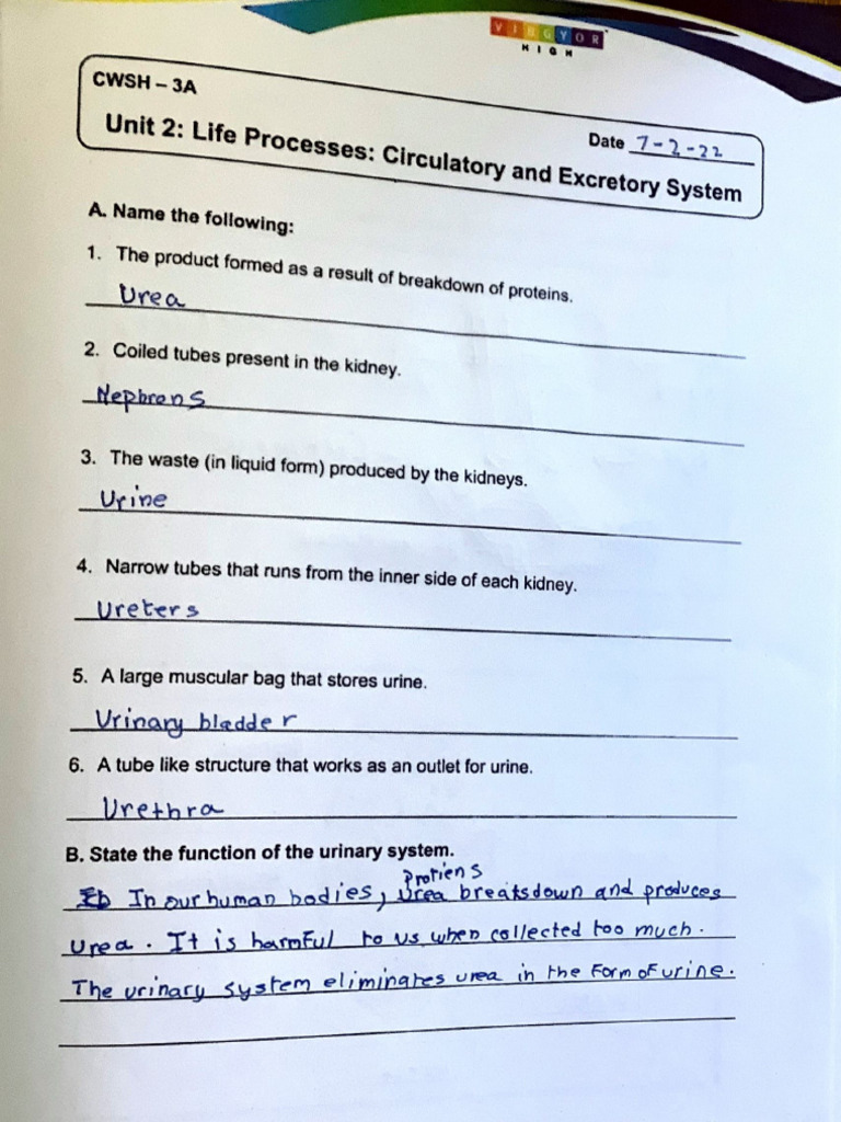 Biology SLS-12 Unit-2 Dwiti Sinha 7C | PDF