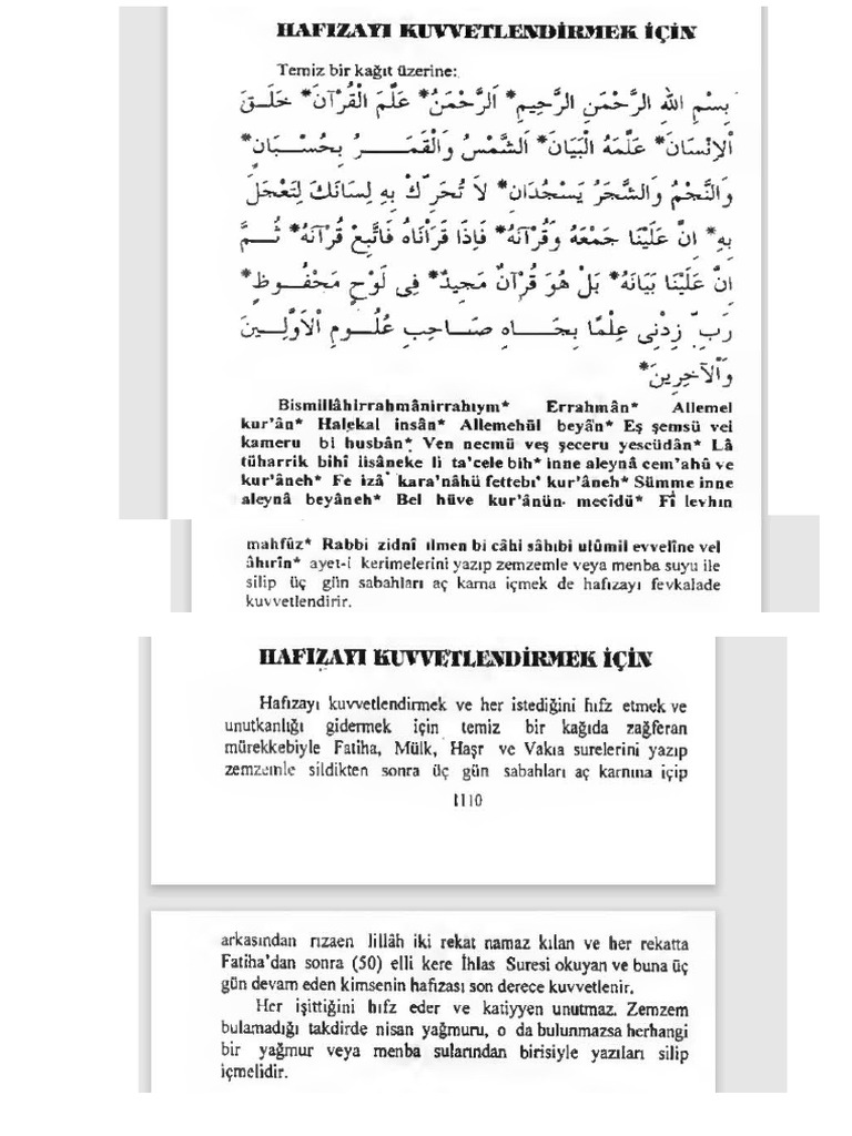 HAFIZA | PDF
