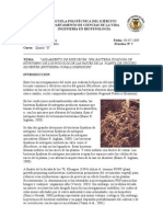 Practica 9 Aislamiento Rhizobium