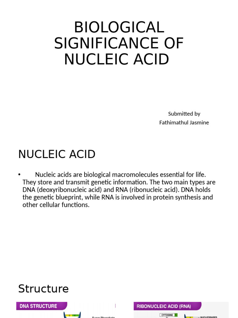 Importance of Nucleic Acids in Biology | PDF | Rna | Genetics