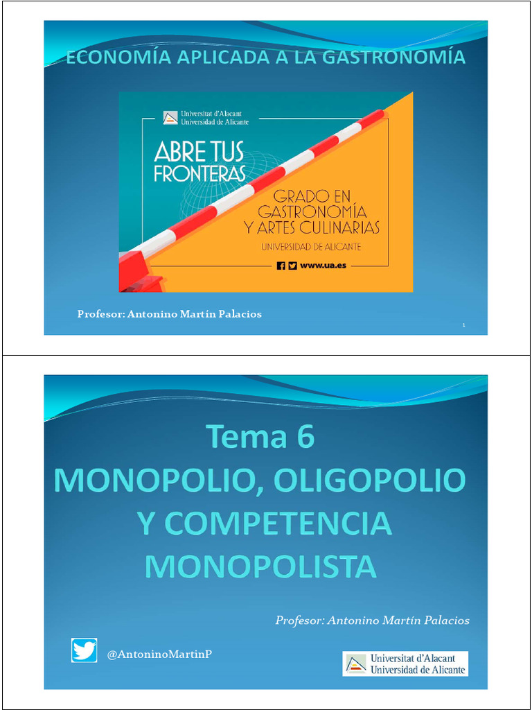 06 - TEMA 6 MONOPOLIO OLIGOPOLIO Y COMPETENCIA MONOPOLÍSTICA Parte 1 de ...