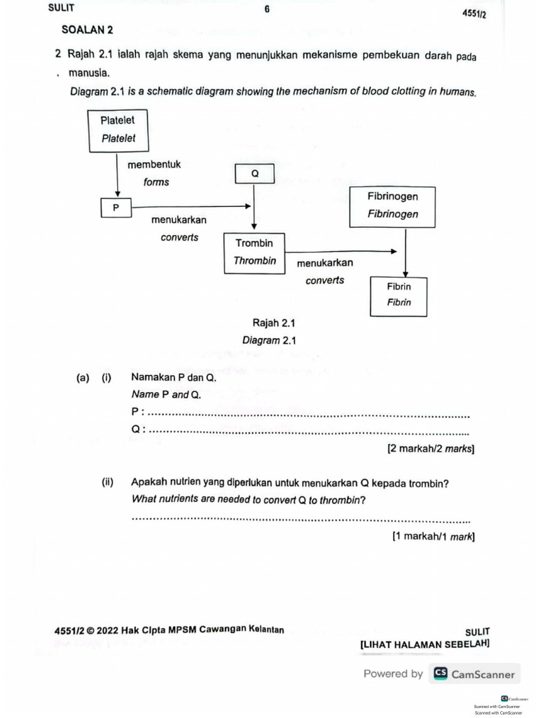 Bab 8 t5 Trial Biologi 2022 | PDF