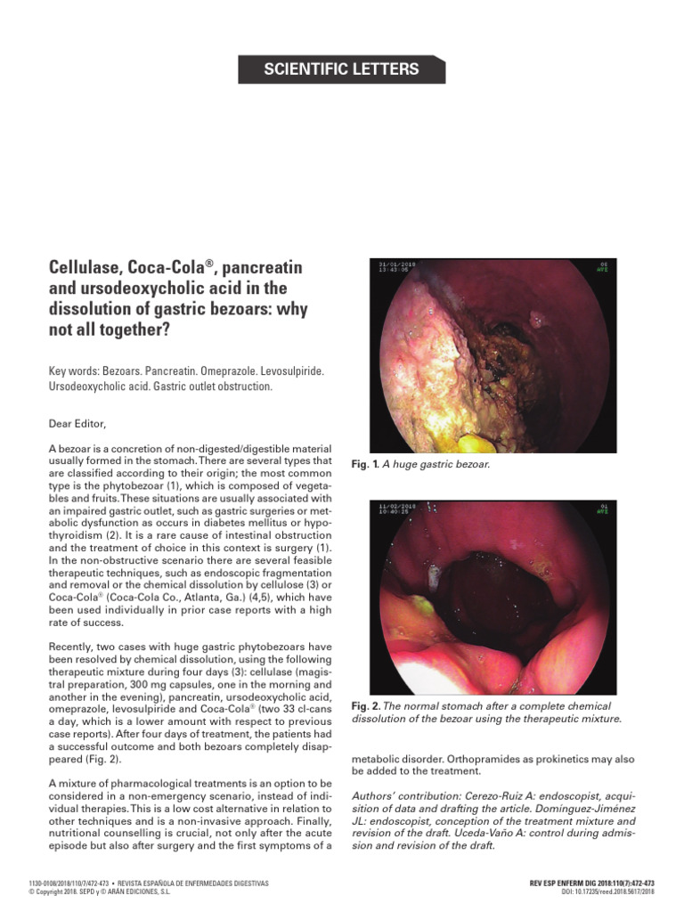 17 Pancreatina | PDF