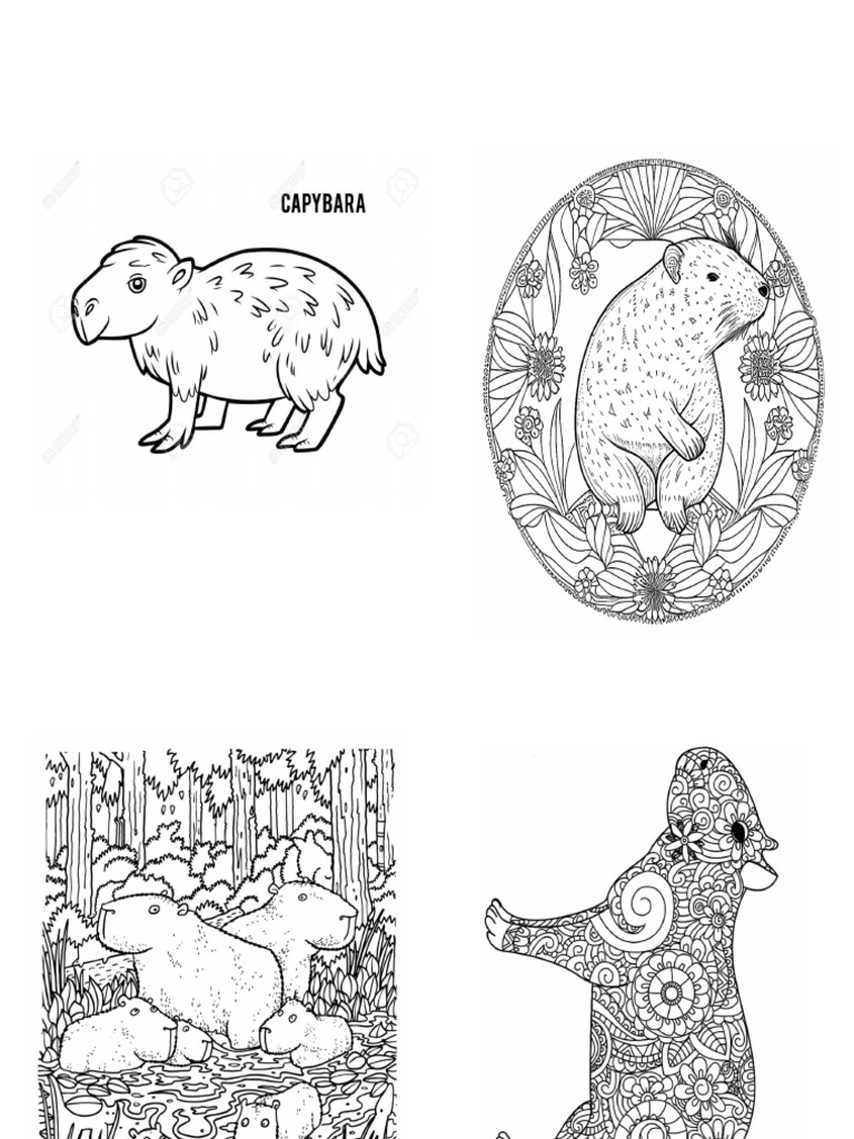 Capybara | PDF