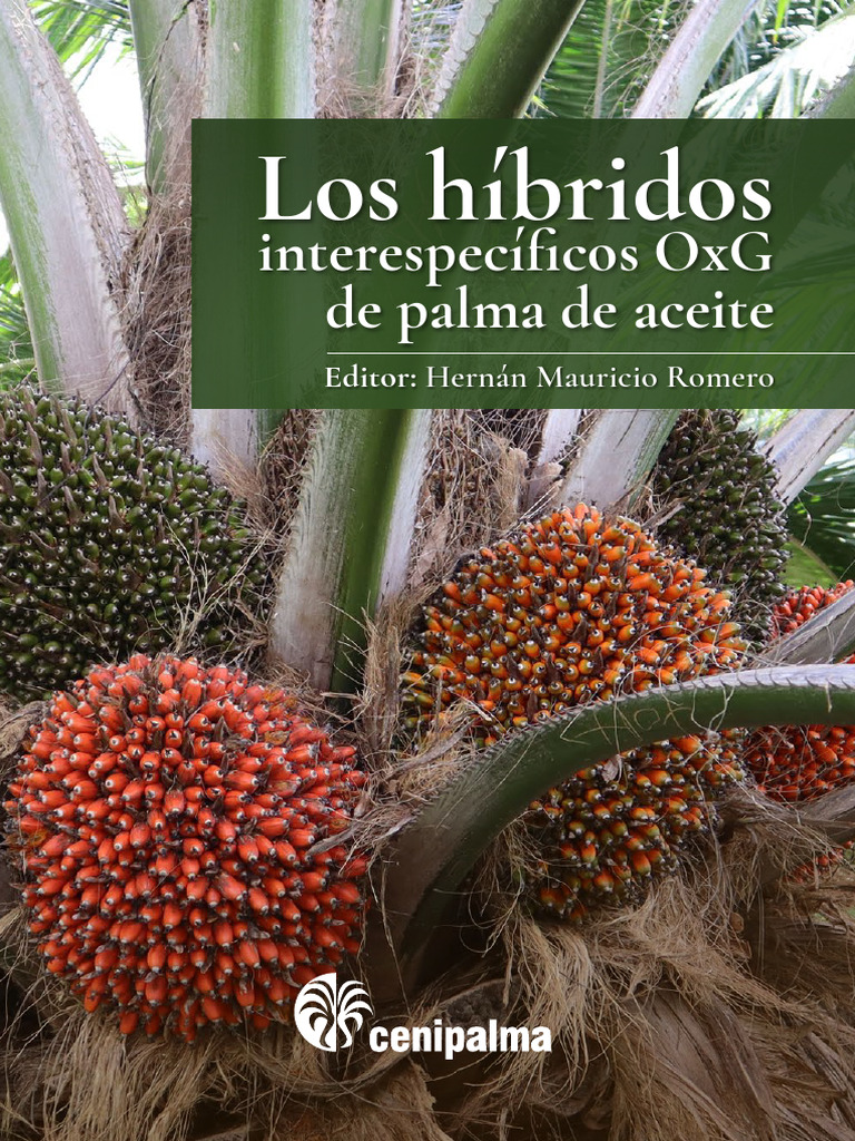 Los Híbridos Interespecíficos OxG de Palma de Aceite | PDF