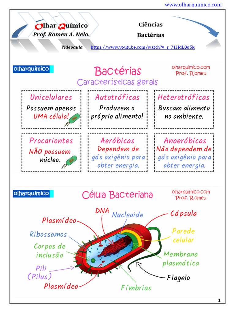 Mapa Mental Resumo Sobre Bacterias | PDF