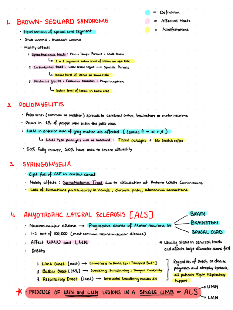 Spinal Cord Syndromes | PDF