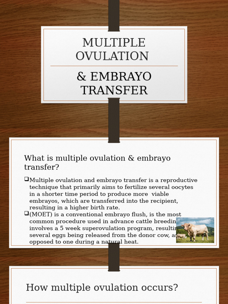Multiple Ovulation | PDF | Wellness